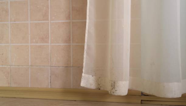 Mold Remediation for Vacation Homes in Lebanon, OH